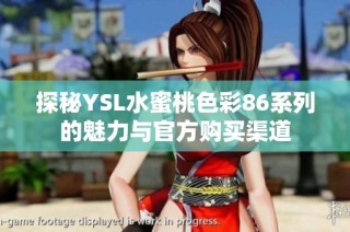 探秘YSL水蜜桃色彩86系列的魅力与官方购买渠道