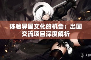 体验异国文化的机会：出国交流项目深度解析