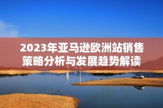 2023年亚马逊欧洲站销售策略分析与发展趋势解读