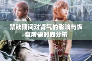 禁欲期间对肾气的影响与恢复所需时间分析