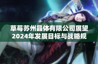草莓苏州晶体有限公司展望2024年发展目标与战略规划