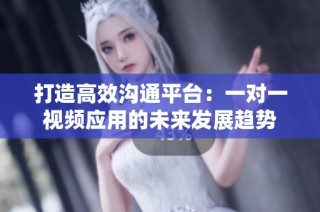 打造高效沟通平台：一对一视频应用的未来发展趋势
