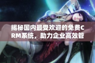 揭秘国内最受欢迎的免费CRM系统，助力企业高效管理客户关系