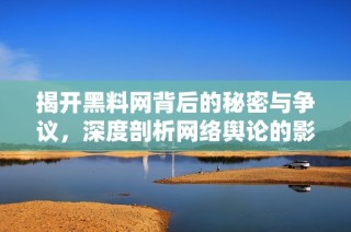 揭开黑料网背后的秘密与争议，深度剖析网络舆论的影响力
