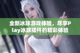 全新冰球游戏体验，尽享Play冰球插件的精彩体验