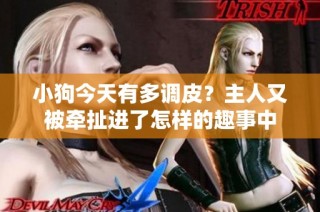 小狗今天有多调皮？主人又被牵扯进了怎样的趣事中
