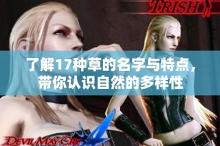 了解17种草的名字与特点，带你认识自然的多样性