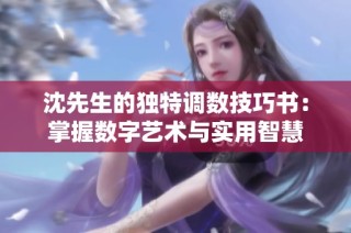 沈先生的独特调数技巧书：掌握数字艺术与实用智慧