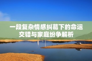 一段复杂情感纠葛下的命运交错与家庭纷争解析