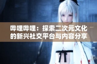 哔哩哔哩：探索二次元文化的新兴社交平台与内容分享社区