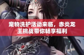 宠物洗护活动来临，赤炎龙王挑战带你畅享福利