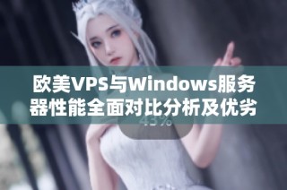 欧美VPS与Windows服务器性能全面对比分析及优劣势探讨