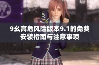 9幺高危风险版本9.1的免费安装指南与注意事项