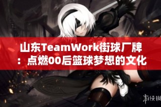 山东TeamWork街球厂牌：点燃00后篮球梦想的文化与计划