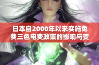 日本自2000年以来实施免费三色电费政策的影响与变迁探讨