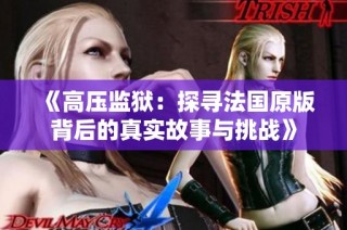 《高压监狱：探寻法国原版背后的真实故事与挑战》