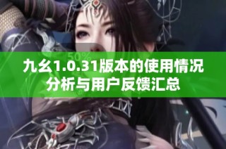 九幺1.0.31版本的使用情况分析与用户反馈汇总
