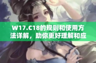 W17.C18的规则和使用方法详解，助你更好理解和应用