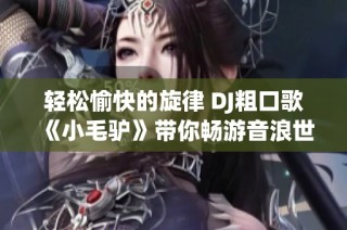 轻松愉快的旋律 DJ粗口歌《小毛驴》带你畅游音浪世界
