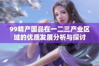 99精产国品在一二三产业区域的优质发展分析与探讨