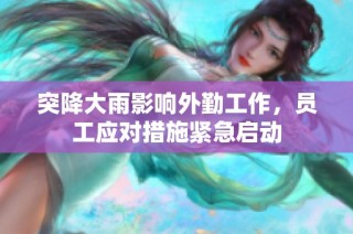 突降大雨影响外勤工作，员工应对措施紧急启动