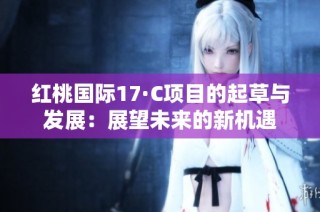 红桃国际17·C项目的起草与发展：展望未来的新机遇