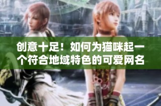 创意十足！如何为猫咪起一个符合地域特色的可爱网名