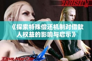 《探索特殊偿还机制对借款人权益的影响与启示》