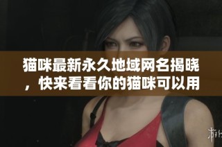 猫咪最新永久地域网名揭晓，快来看看你的猫咪可以用什么新名字