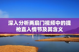 深入分析两扇门视频中的提枪直入情节及其含义