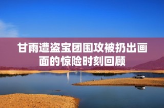 甘雨遭盗宝团围攻被扔出画面的惊险时刻回顾