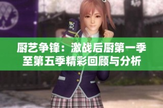 厨艺争锋：激战后厨第一季至第五季精彩回顾与分析