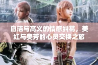 白洁与高义的情感纠葛，美红与美芳的心灵交换之旅