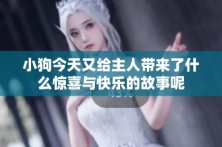 小狗今天又给主人带来了什么惊喜与快乐的故事呢