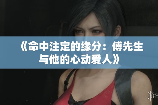 《命中注定的缘分：傅先生与他的心动爱人》