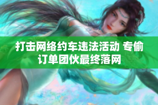 打击网络约车违法活动 专偷订单团伙最终落网