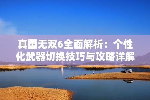 真国无双6全面解析：个性化武器切换技巧与攻略详解