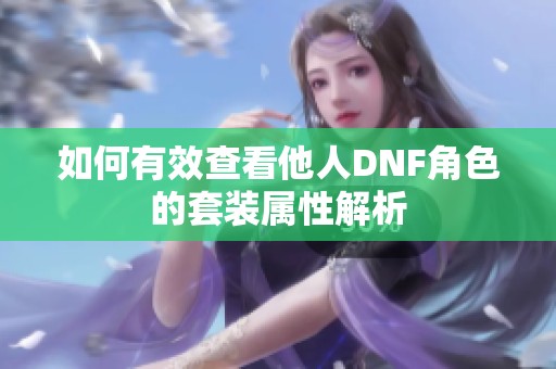 如何有效查看他人DNF角色的套装属性解析