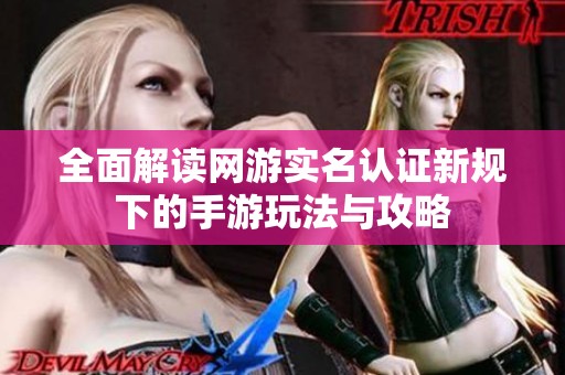 全面解读网游实名认证新规下的手游玩法与攻略