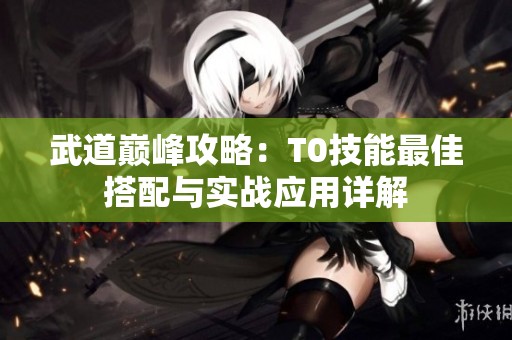 武道巅峰攻略：T0技能最佳搭配与实战应用详解