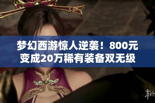 梦幻西游惊人逆袭！800元变成20万稀有装备双无级别鞋子频繁掉落