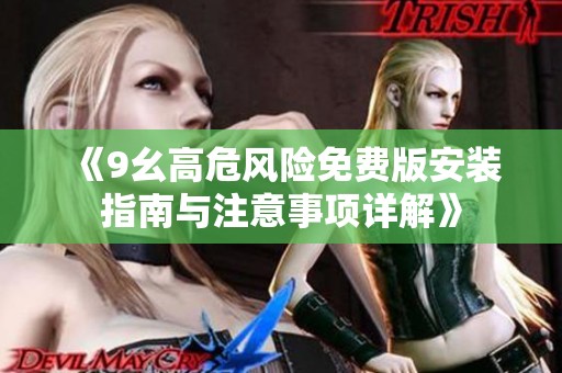 《9幺高危风险免费版安装指南与注意事项详解》