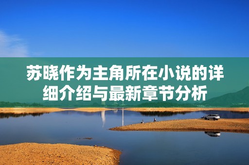 苏晓作为主角所在小说的详细介绍与最新章节分析