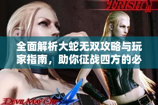 全面解析大蛇无双攻略与玩家指南，助你征战四方的必备宝典