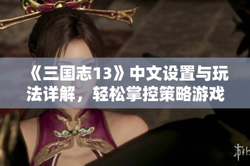 《三国志13》中文设置与玩法详解，轻松掌控策略游戏乐趣