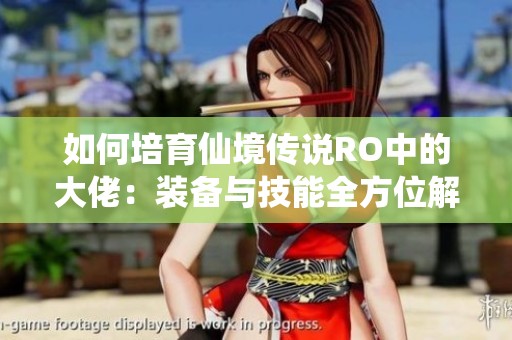如何培育仙境传说RO中的大佬：装备与技能全方位解析