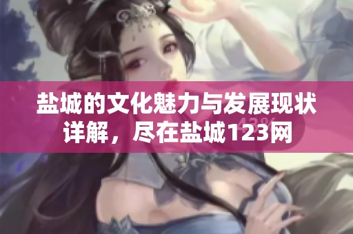 盐城的文化魅力与发展现状详解，尽在盐城123网