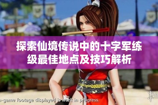 探索仙境传说中的十字军练级最佳地点及技巧解析
