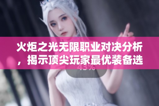 火炬之光无限职业对决分析，揭示顶尖玩家最优装备选择与强势职业攻略