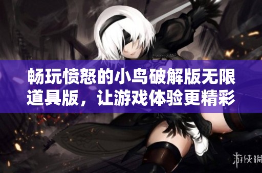 畅玩愤怒的小鸟破解版无限道具版，让游戏体验更精彩与挑战更刺激